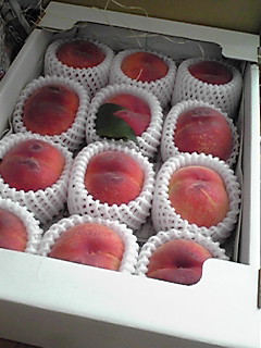 ���A�͂���