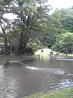 ���C�ɓ���̏ꏊ