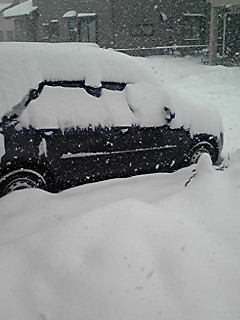 �_��ꂽ���j��